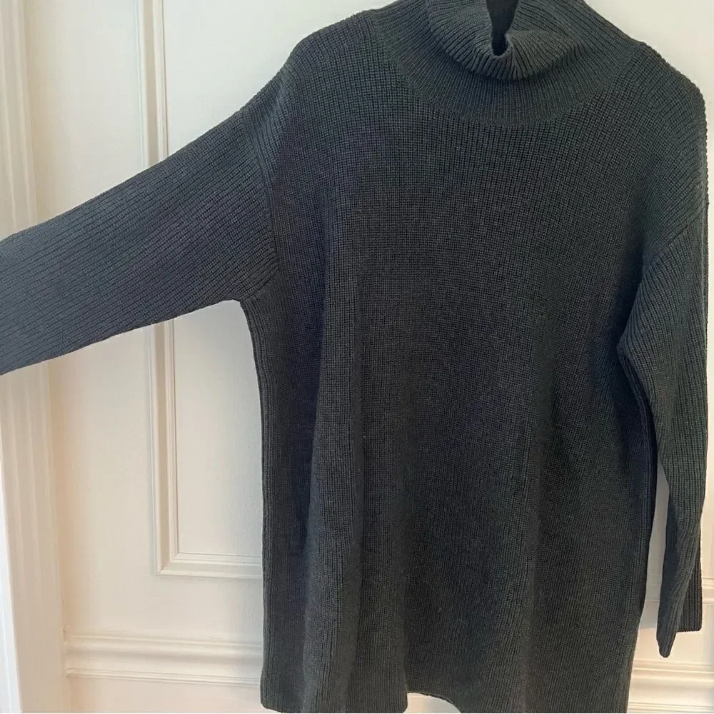 Eileen Fisher Marino Wool Turtleneck Tunic Swearer Dark Gray/Green XS NWT